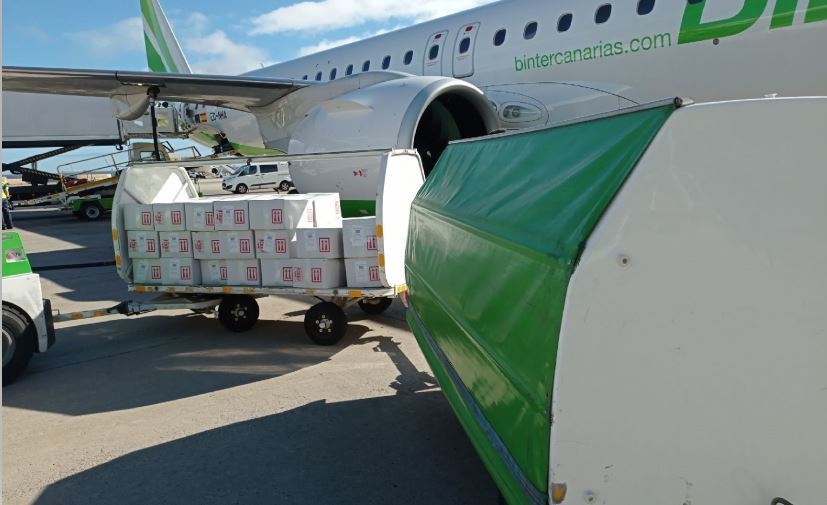 Carga aérea de Binter
