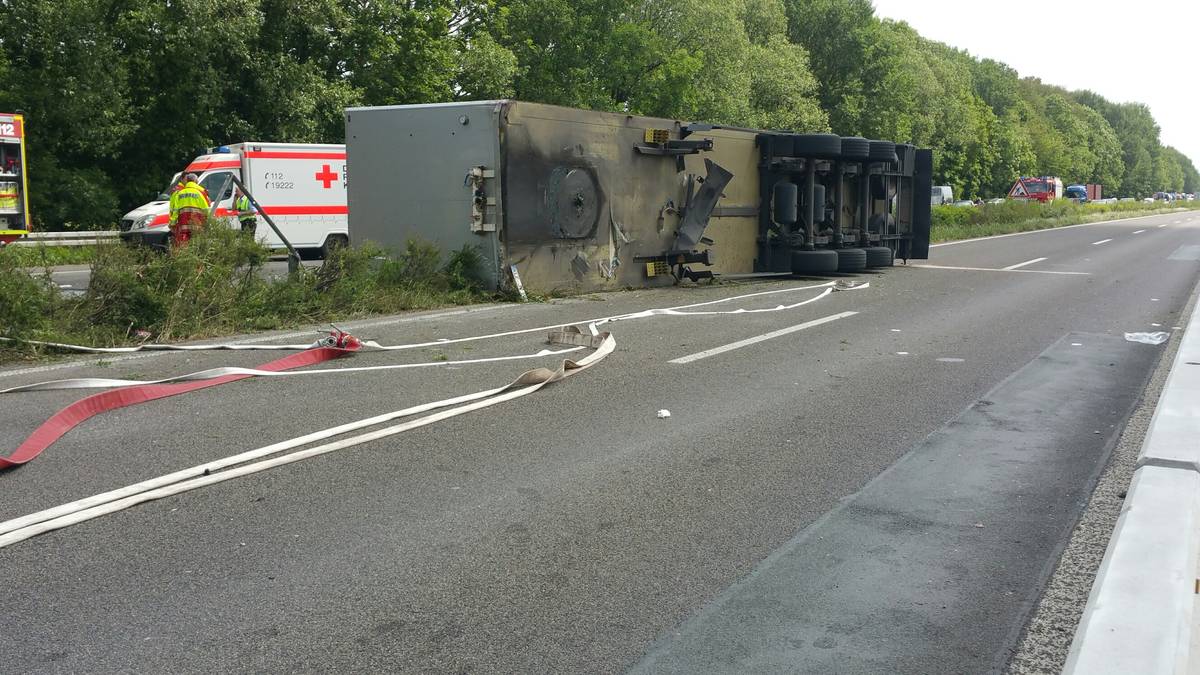 Vista ampliada de la imagen clicada