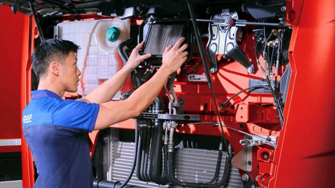 Foto: DAF España y Portugal Foto: DAF España y Portugal