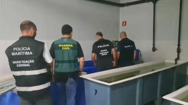 Foto: Europol