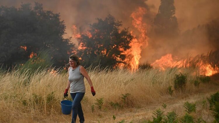 Foto: Greenpeace