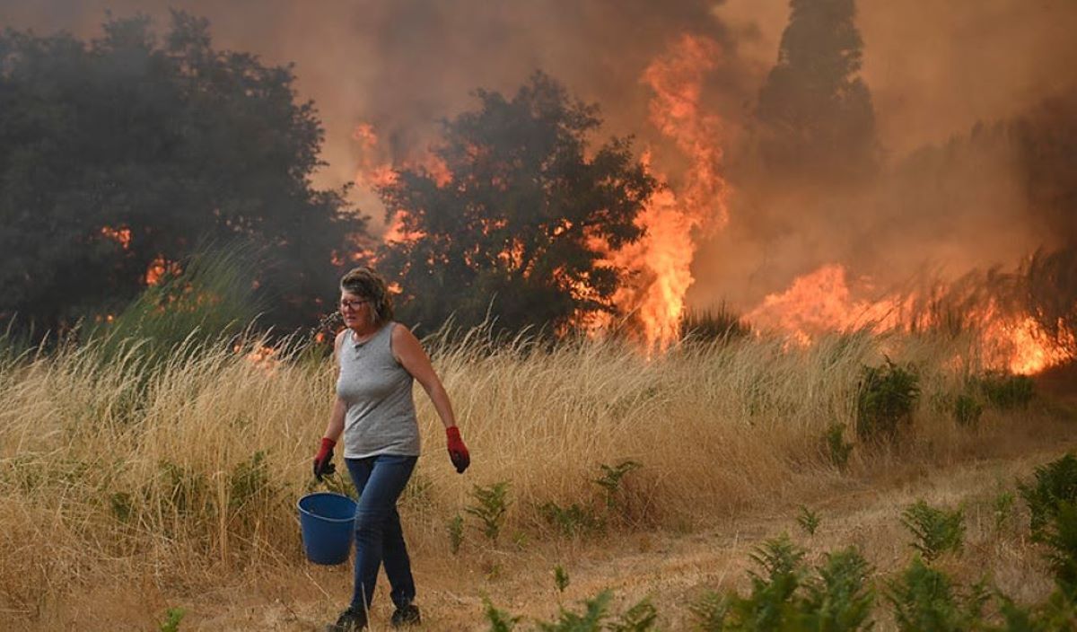 Foto: Greenpeace