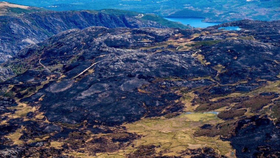 Fotos y vídeos. Greenpeace