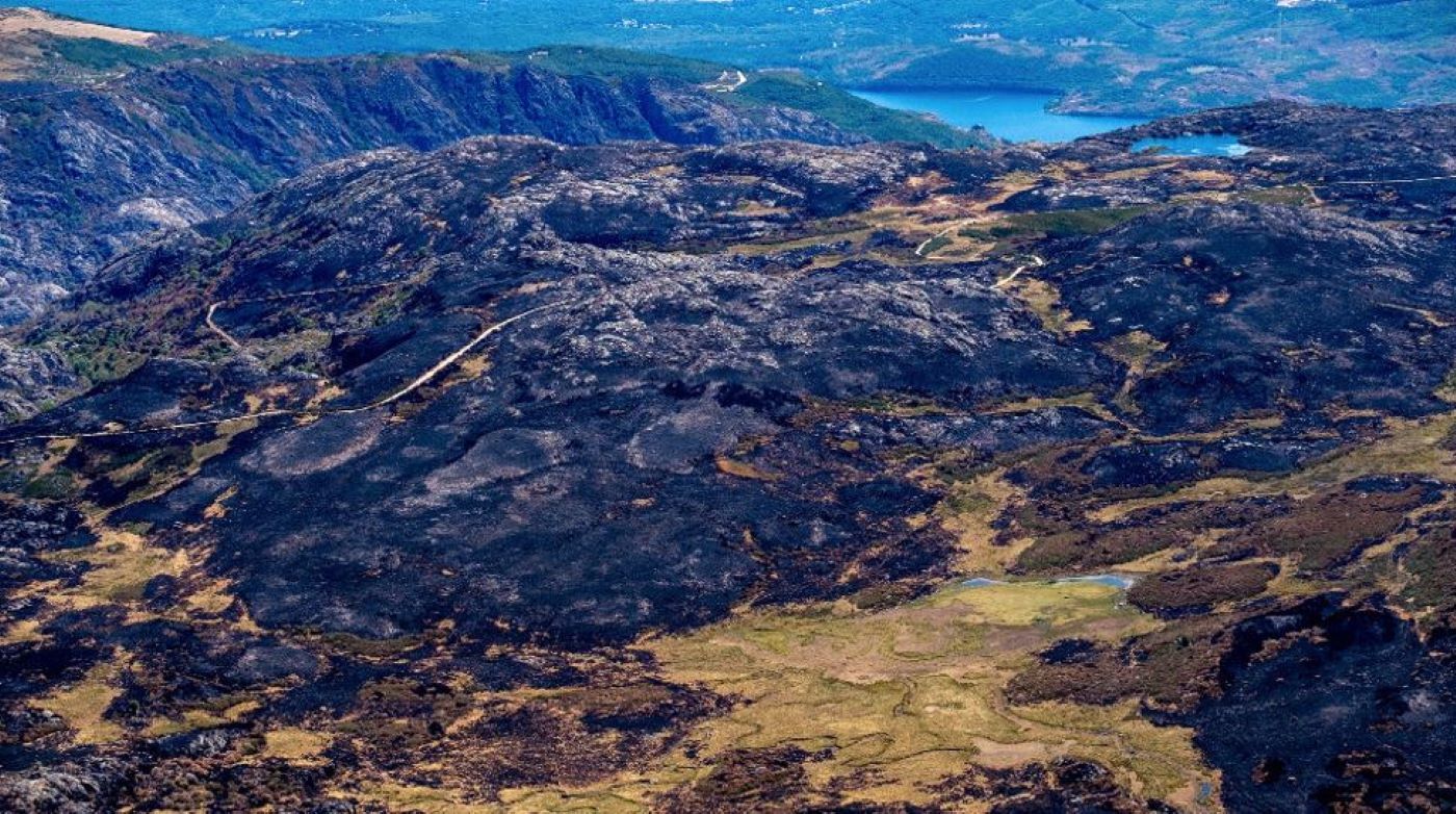 Fotos y vídeos. Greenpeace