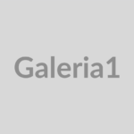 demo-galeria-1