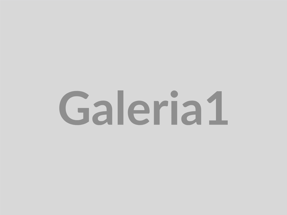 demo-galeria-1