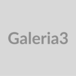 demo-galeria-3