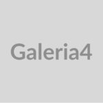 demo-galeria-4