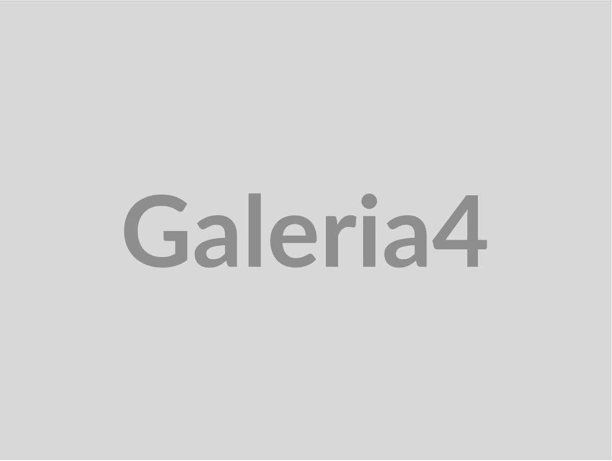 demo-galeria-4