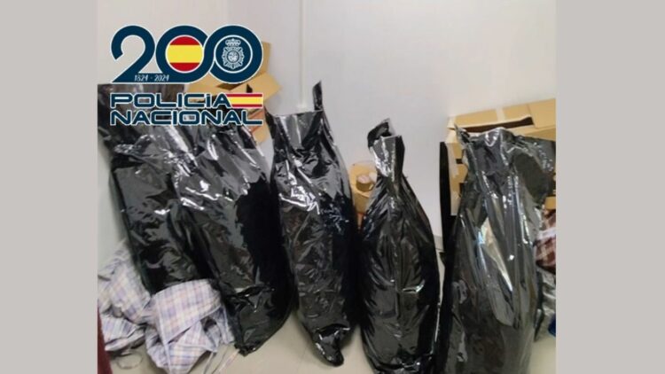 Desarticulada una red dedicada al cultivo y transporte internacional de marihuana oculta en camiones. Foto: Policía Nacional