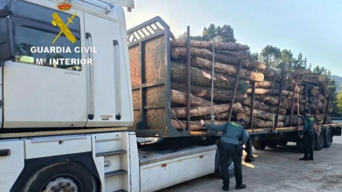 Imagen del camión con la madera sustraída. Foto: Guardia Civil