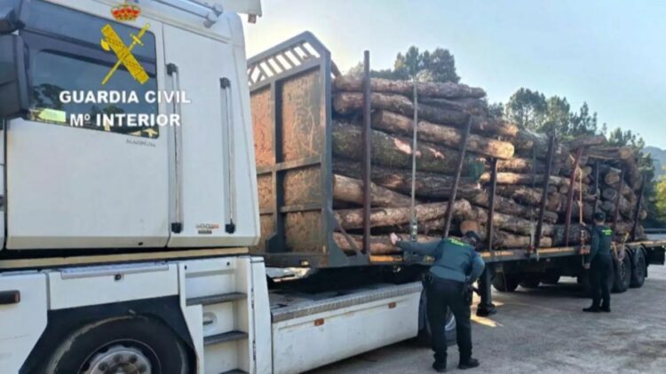 Imagen del camión con la madera sustraída. Foto: Guardia Civil