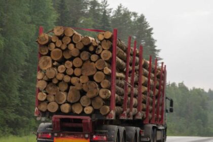 Paro de los transportistas de la madera de ENCE por la bajada de las tarifas con las 44 toneladas.Foto de archivo Paro de los transportistas de la madera de ENCE por la bajada de las tarifas con las 44 toneladas.Foto de archivo