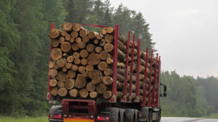CETM también denuncia el abuso de ENCE y exige un precio justo para los transportistas. Foto de archivo