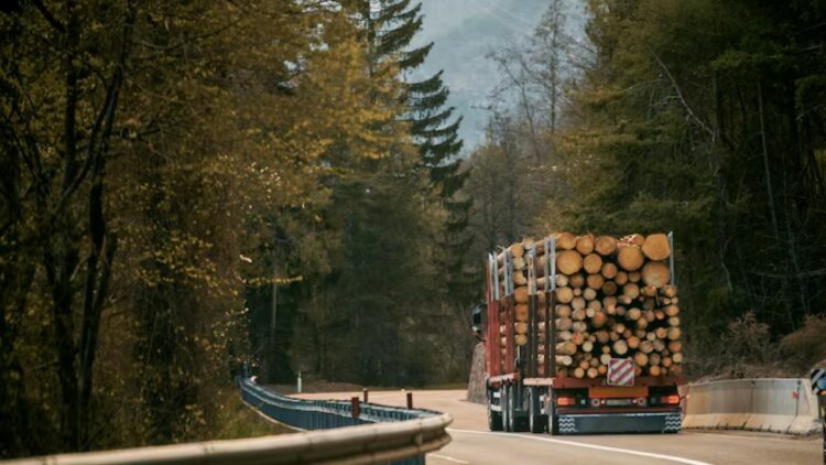 UITA denuncia presiones de ENCE a proveedores y transportistas para que finalice el paro. Foto de archivo