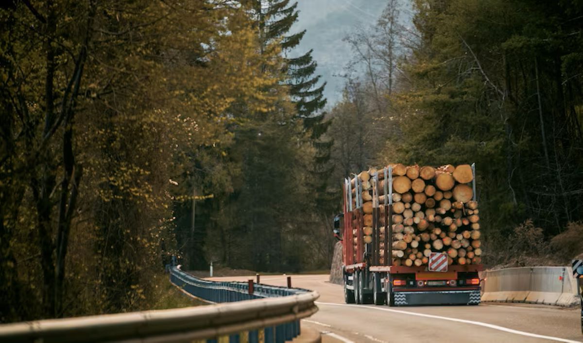 Transportistas madera de Ence