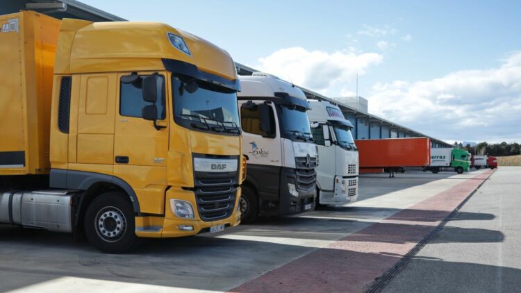 Imagen de varios camiones. Foto: Transcalit-Sertralit