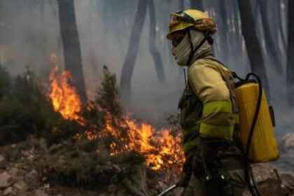Las CC.AA. despiden a más de 4.000 de bomberos forestales en toda España. Foto de archivo