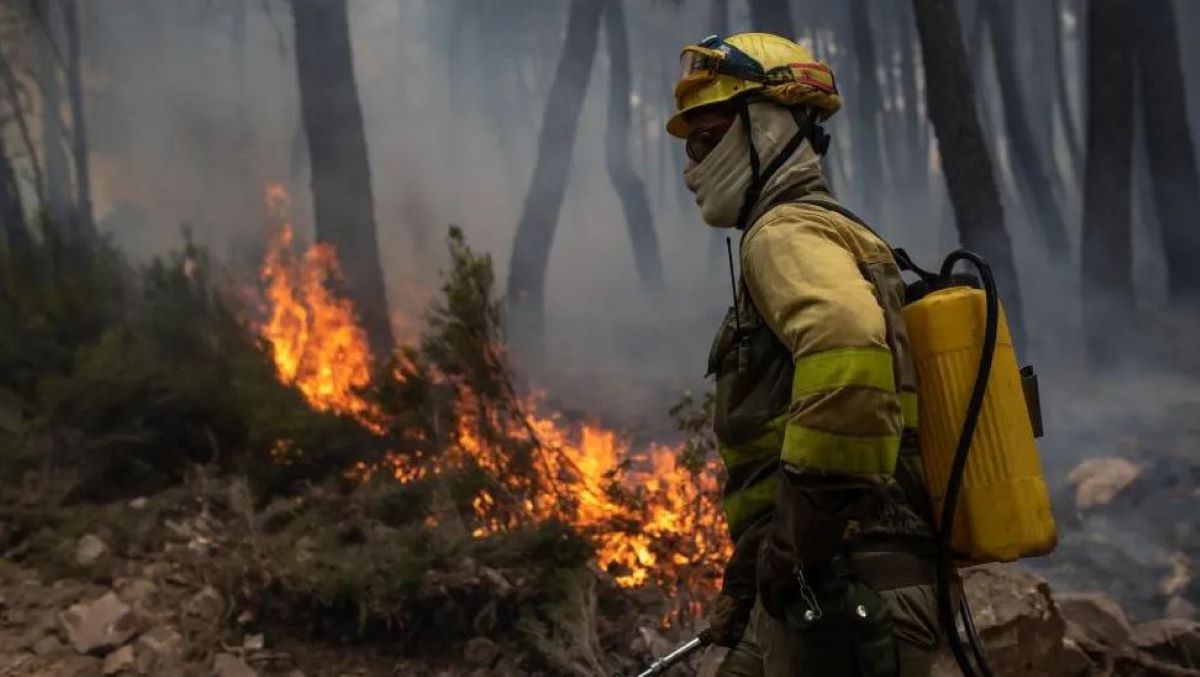 Las CC.AA. despiden a más de 4.000 de bomberos forestales en toda España
