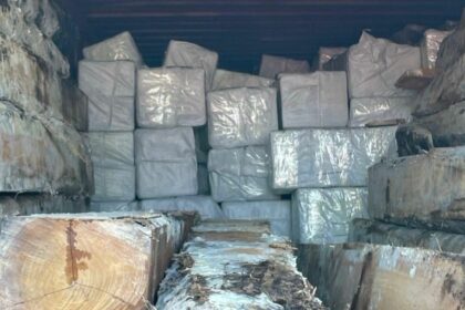 Sigue detenido el sospechoso del tráfico de 4.500 kilos de cocaína incautada en el Puerto de Amsterdam