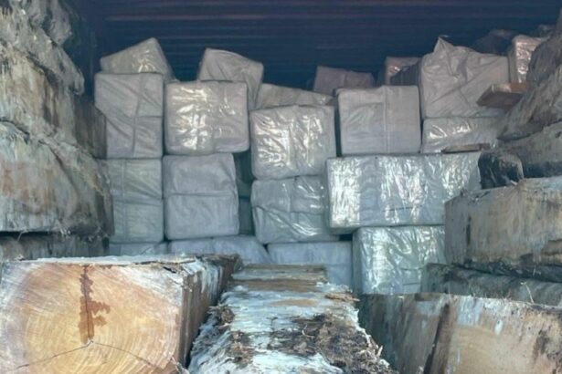 Sigue detenido el sospechoso del tráfico de 4.500 kilos de cocaína incautada en el Puerto de Amsterdam