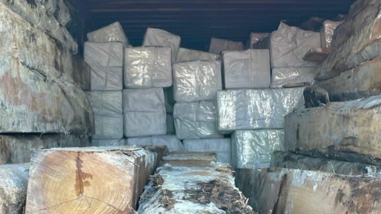 Sigue detenido el sospechoso del tráfico de 4.500 kilos de cocaína incautada en el Puerto de Amsterdam