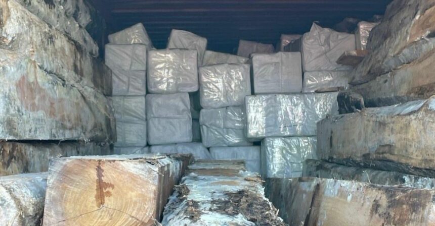 Sigue detenido el sospechoso del tráfico de 4.500 kilos de cocaína incautada en el Puerto de Amsterdam