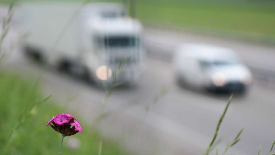 Más claridad en la UE para calcular las emisiones de CO2 en el transporte por carretera. Foto de archivo Emisiones de CO2 en el transporte