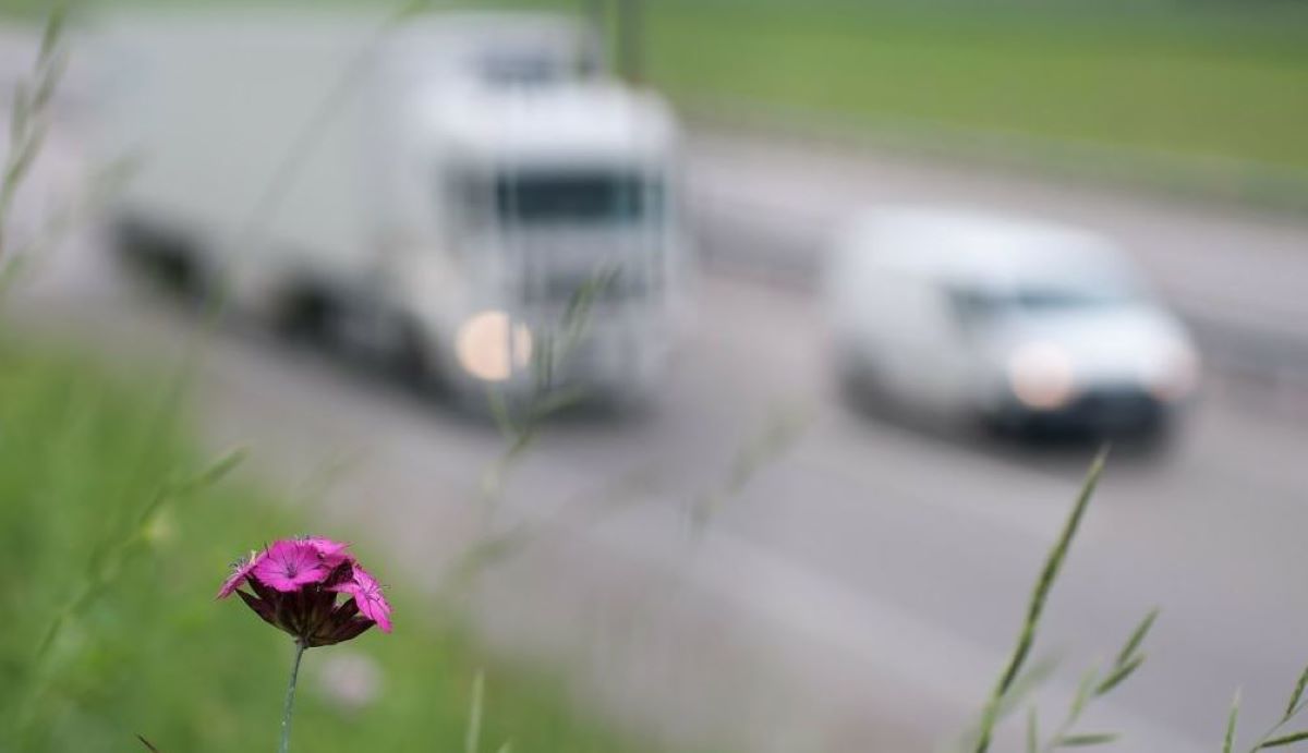 Más claridad en la UE para calcular las emisiones de CO2 en el transporte por carretera