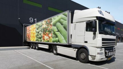 Nuevo webinar de Webfleet: Evita sanciones y pérdidas con un control total de tu transporte refrigerado