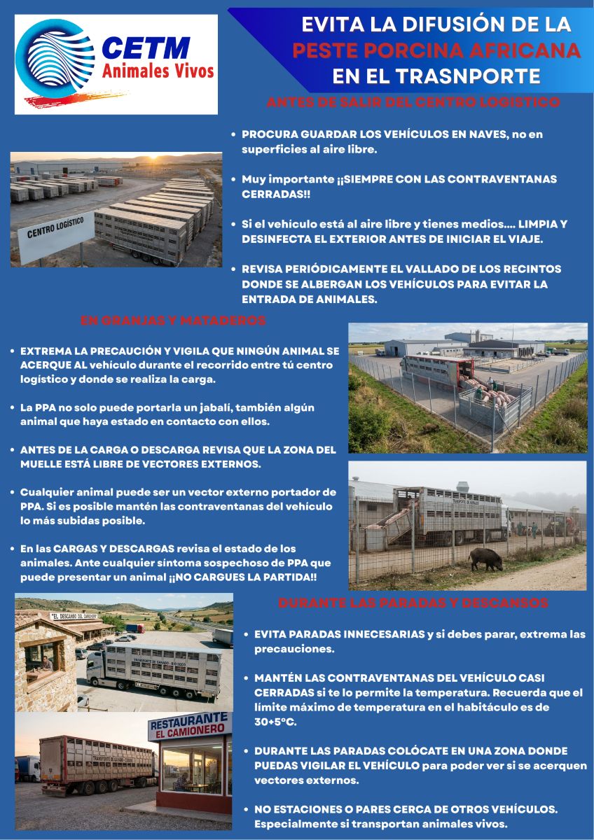 CETM Animales Vivos pide reforzar la seguridad ante la peste porcina africana