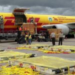 DHL hace un repaso de los envíos más insólitos gestionados en 2025