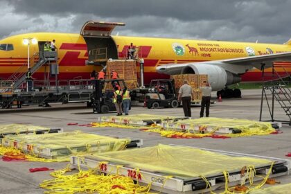 DHL hace un repaso de los envíos más insólitos gestionados en 2025