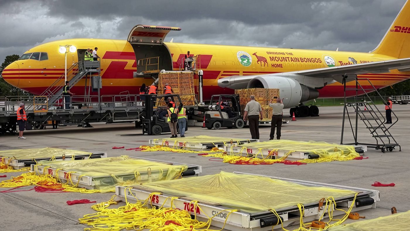 DHL hace un repaso de los envíos más insólitos gestionados en 2025