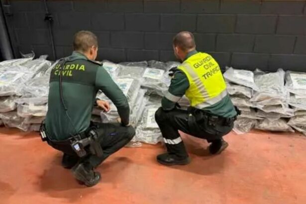 Detenido un camionero en la A-4 tras localizar 100 kg de marihuana oculta en la mercancía