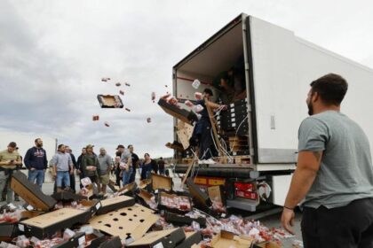 Aprender de las tendencias internacionales para proteger a los camioneros en el extranjero