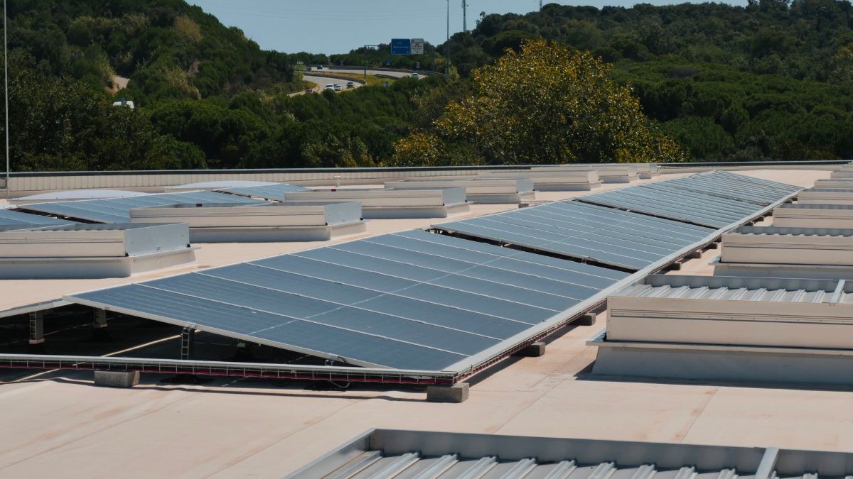 Almacenes logísticos sostenibles: eficiencia, ahorro y generación de valor