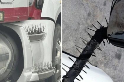 Una manera de llegar vivo a casa