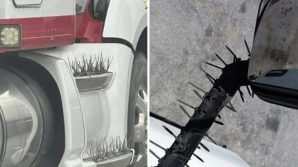 Una manera de llegar vivo a casa