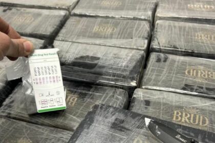 Incautados 160 kilos de cocaína en un camión