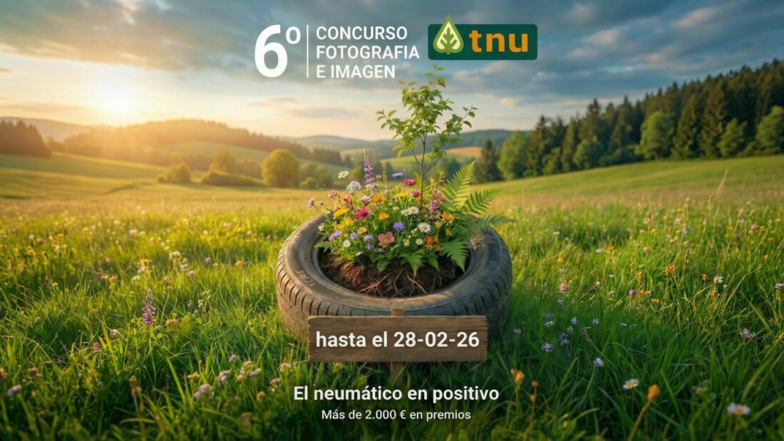 Reinterpretando el neumático a través del arte