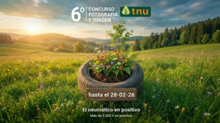 Reinterpretando el neumático a través del arte