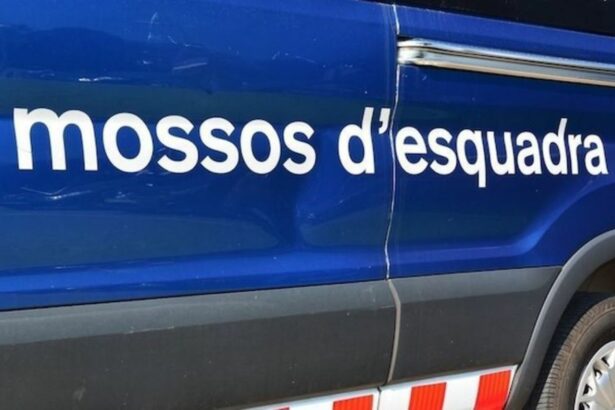 Dos detenidos que transportaban 60 kilos de marihuana en un camión