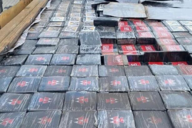 Incautados más de 3.200 kilos de cocaína en una furgoneta y un contenedor