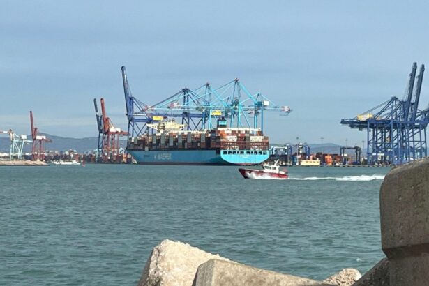 China se consolida como primer socio comercial de Valenciaport