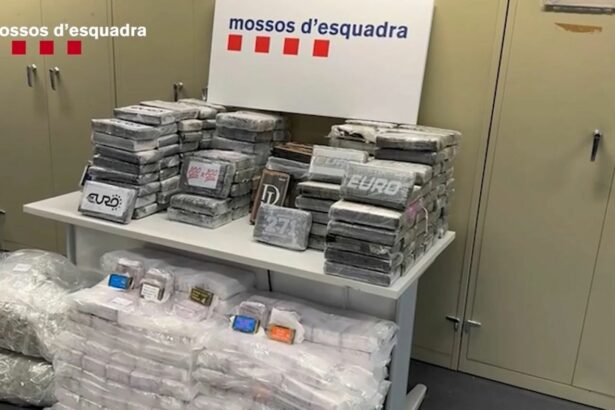 Desarticulada una organización vinculada a la Camorra que transportaba droga a Italia escondida en camiones