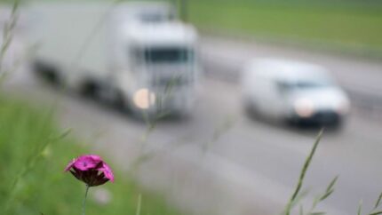 El Consejo Europeo flexibiliza las normas de emisiones de CO2 para los fabricantes de camiones