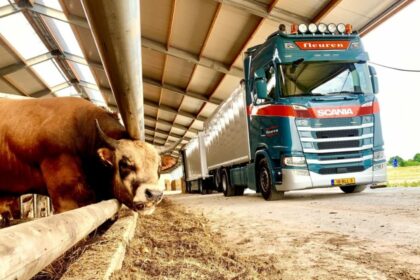 Adquirir una empresa de transportes con ocho sucesores