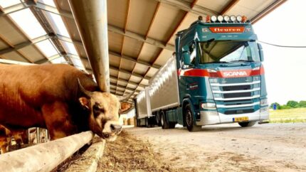 Adquirir una empresa de transportes con ocho sucesores