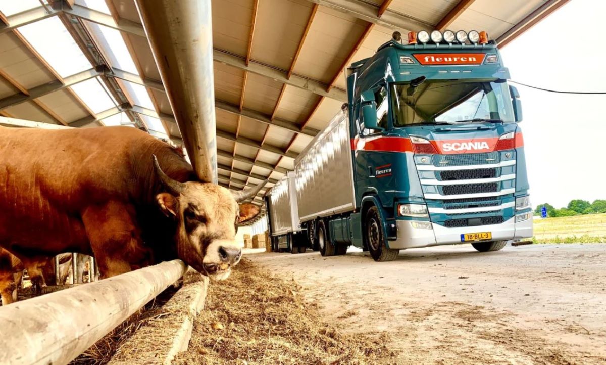 Adquirir una empresa de transportes con ocho sucesores